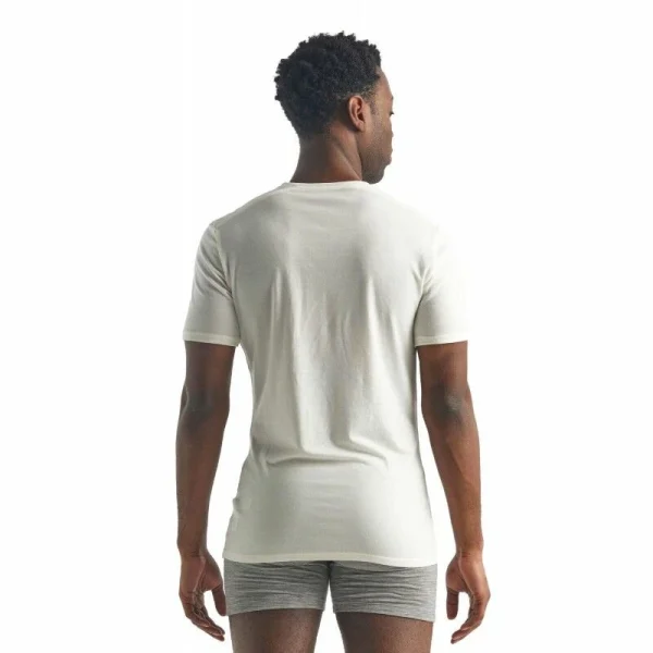 Meilleur prix 🌟 Icebreaker Anatomica Short Sleeve col V en Mérinos – T-shirt en laine mérinos homme I Hardloop 🌟 4