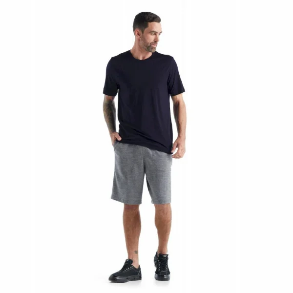 Les meilleures critiques de 🎉 Icebreaker Tech Lite II SS Tee – T-shirt en laine mérinos homme I Hardloop ❤️ 4